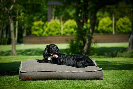 Dog bed Large Brown - ZEN ZONE